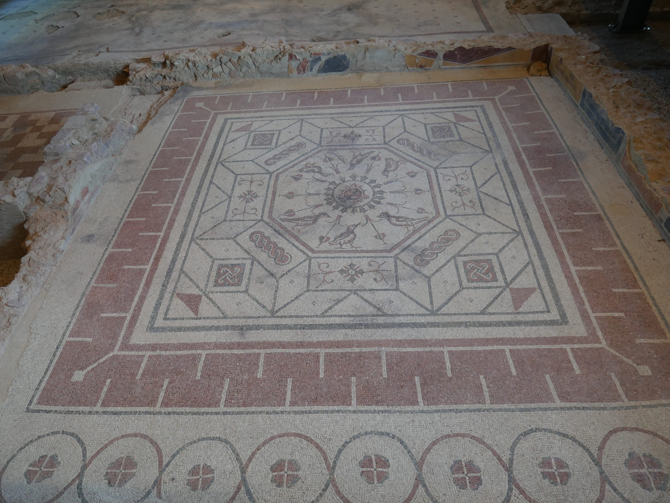 Umbria antica-Amelia-mura poligonali 3