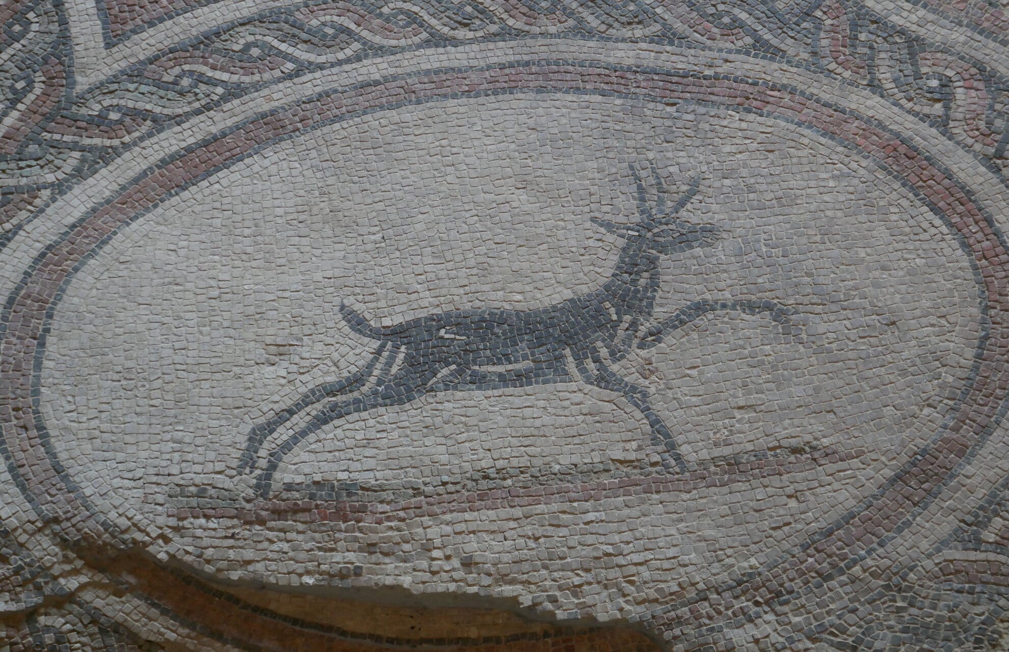 Dettaglio di Mosaico con cervo